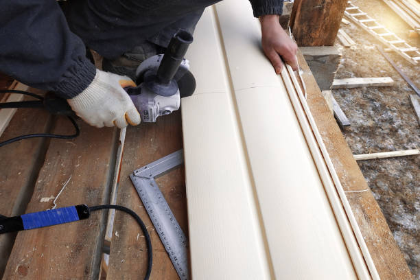 Best Custom Trim and Detailing for Siding  in Meadview, AZ