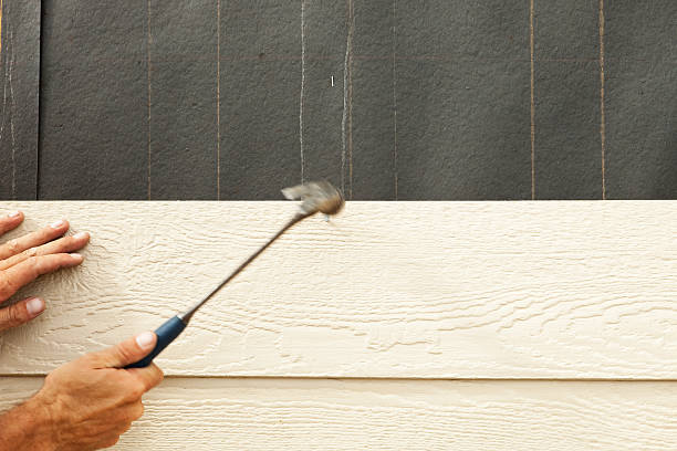 Best Siding Removal and Disposal  in Meadview, AZ